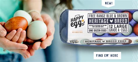 Home Happy Egg Co Blue And Brown Eggs Usda Organic Raised Healthy