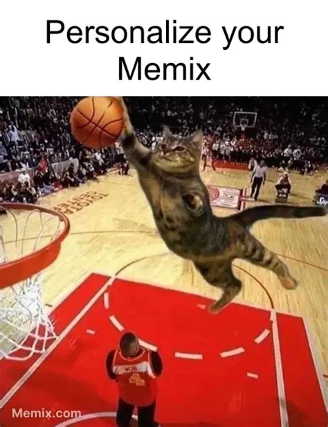 Cat Balling Dunk Meme  Share With Memix