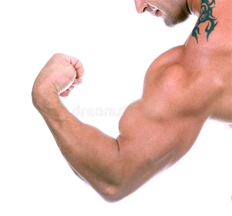 Bicep Isolated Stock Photo Image Of Fist Goodbody 6134118