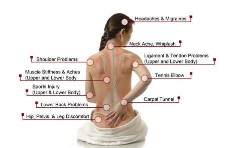 Massage Benefits Diagram Blume Healing Center