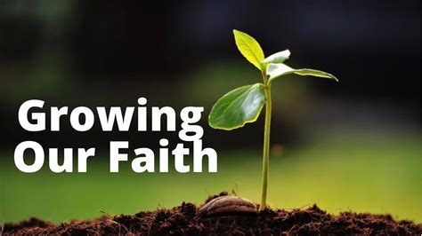 Growing Our Faith Idcc Bible Talk June 15 2021 Youtube