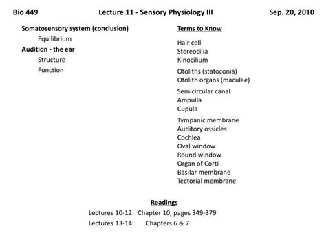 Ppt Bio 449 Lecture 11 Sensory Physiology Iii Sep 20 2010