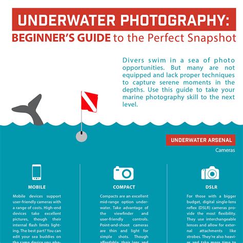 Underwater Photography Basics Infographic Mozaik Uw