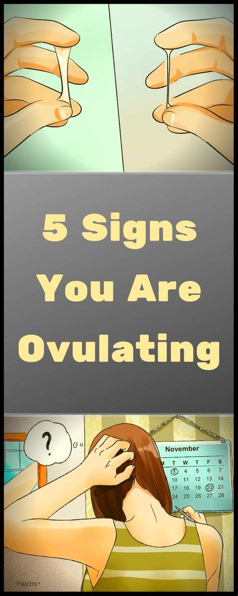 Signs You Are Ovulating