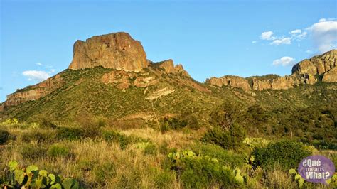 Big bend national park is remote with a capital r. Our First Family Visit to Big Bend National Park • ¿Qué ...