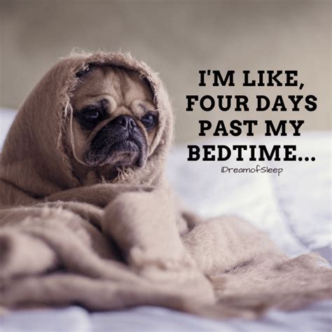 16 Hilarious Sleep Quotes And Sayings Only Insomniacs Get Sleep