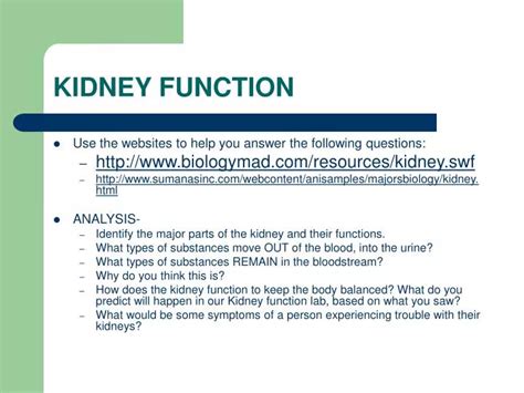 Ppt Kidney Function Powerpoint Presentation Free Download Id6375413