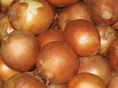 Onion Yellow Sweet Spanish 250 Seeds Heirloom For Sale Online Ebay
