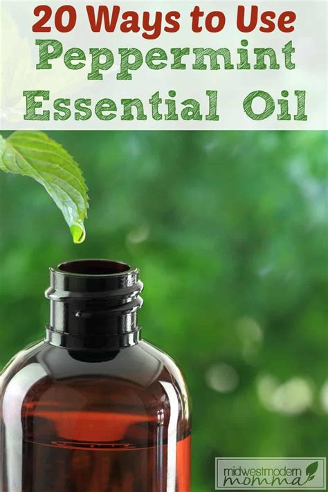 20 Uses For Peppermint Essential Oil