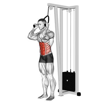 How To Do Standing Cable Crunch Muscles Worked And Benefits