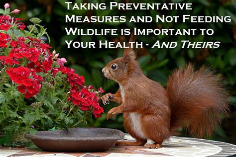 Taking Preventative Measures And Not Feeding Wildlife Is Important To