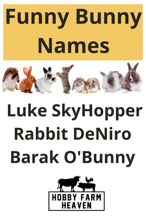 Funny Bunny Names · Hobby Farm Heaven