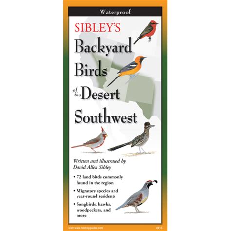Backyard Birds Pacific Northwest / Pacific Northwest Birds - Birds of the pacific northwest (a ...