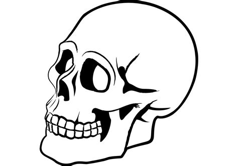 Free for commercial use no attribution required high quality images. Free Skull Vector