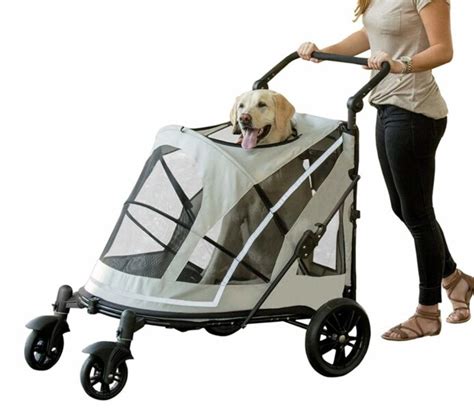 The Benefits Of Using A Dog Cart