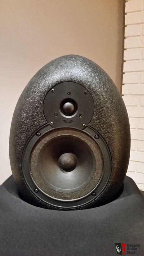 Waveform Mach 17 Speakers Rare Ultra High End Full Range Speaker