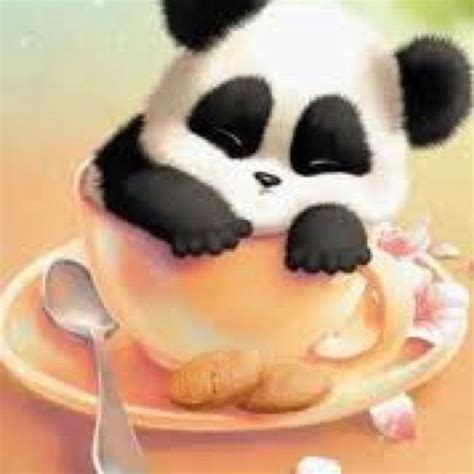 Panda In Cup Panda Wallpapers Cute Wallpapers Cute Animal Drawings