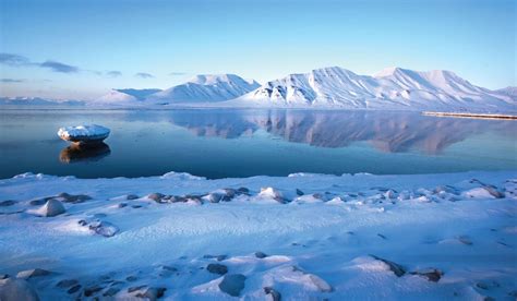 Antarctica And The Arctic Tours And Cruises Tauck