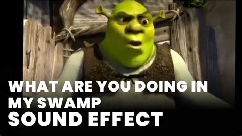 What Are You Doing In My Swamp Sound Effect Mp3 Download