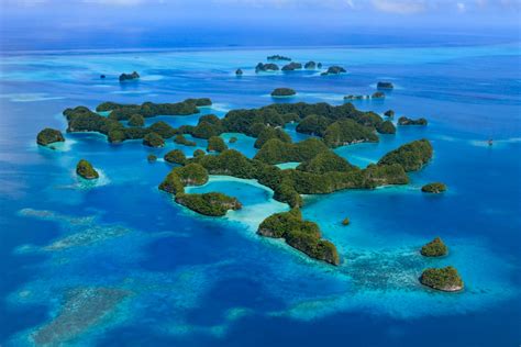 Palau Tourism Launches Project To Lessen Carbon Footprint The Dope