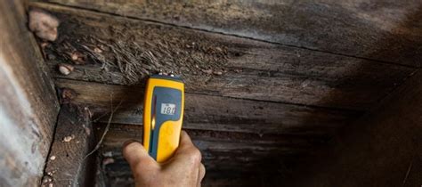 The sentricon® termite colony elimination system with always. Termite Inspection Houston, TX - Stampede Pest Control