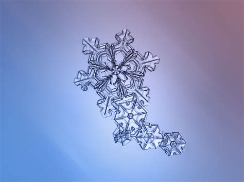 The Most Beautiful Snowflake Photos Youll Ever See Captured With A