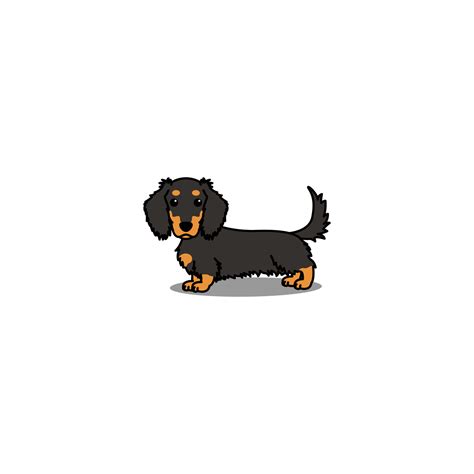 Cute Long Haired Dachshund Dog Black And Tan Cartoon Vector