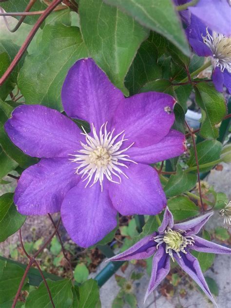 Locust Grove Clinic | Contact Us in Locust Grove