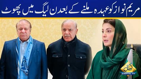 Rifts Among Pml N Leaders After Maryam Nawaz Appointed Partys Senior