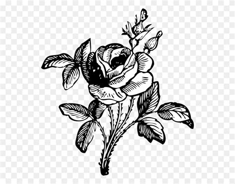 Rose Flower Design Clipart Black And White
