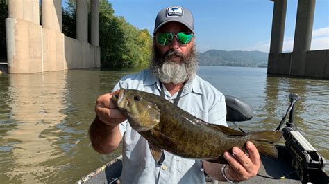 Grateful Guides Fishing Trips Central Pennsylvania Smallmouth Bass Fly
