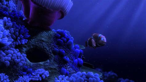 You know, the one where a barracuda comes up and attacks nemo's parents and all of their eggs that evil barracuda from finding nemo is stuffed and mounted on the wall of the antique shop in toy. Finding Nemo - "Nemo Egg" scene (in Beautiful HD) - YouTube
