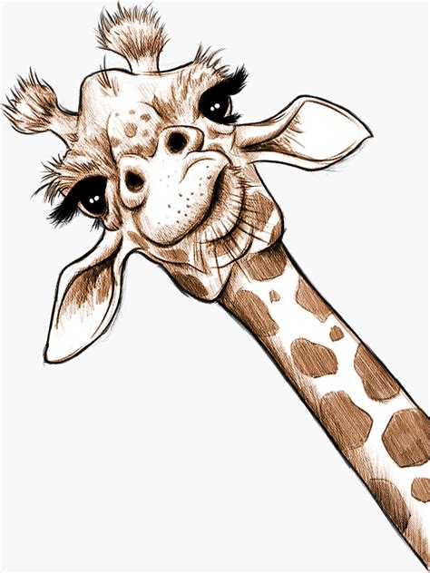Sketch Giraffe Art Sticker By Jonthomson Giraffe Art Giraffe Drawing