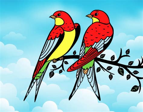Dibujo De Pareja De Pájaros Pintado Por Kevin Dpc En El Día