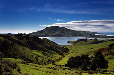 Seven Wonders Otago Peninsula Trust Dunedin Nz