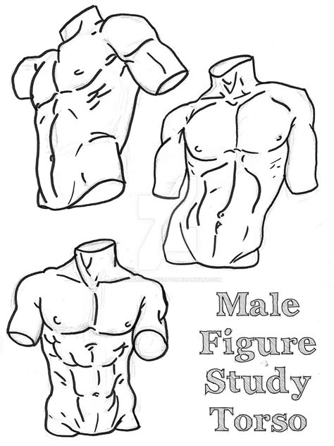 Male Figure Study Process By Courtneysconcepts On Deviantart