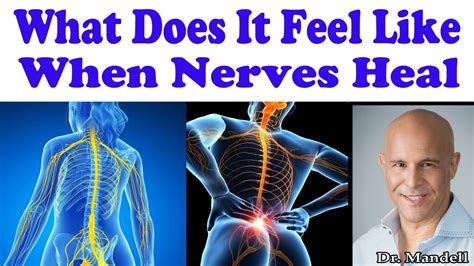 What Does It Feel Like When Nerves Are Healing In Your Body Dr Alan