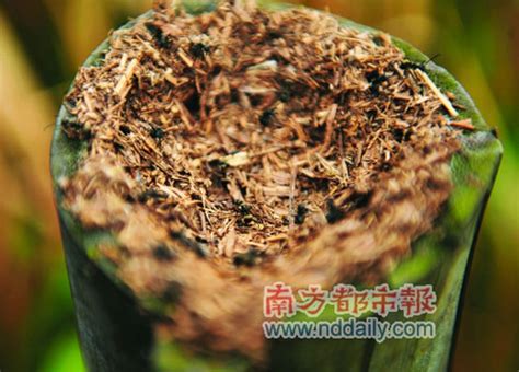 Ihg 之沙滩旅不会带给您过多的经济负担。 为您的沙滩假期搭配最佳的酒店组合并通过最低房价保证预订到最低价格。 由经过验证的顾客填写的真实酒店评论让您可以与phu quoc的高价酒店进行比较。 坪洲岛探秘：美人侧卧 海岛臂弯(组图)_新浪旅游_新浪网