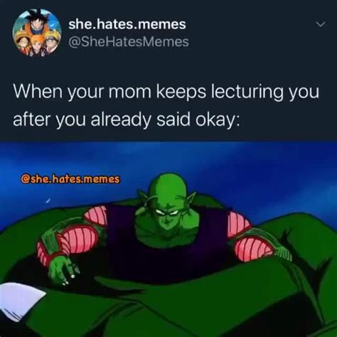She Hates Memes Shehatesmemes When Your Mom Keeps Lecturing You After