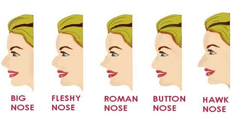 what your nose shape reveals about your personality