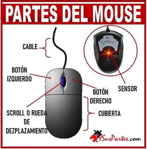 El Mouse Y Sus Partes Listado Y Sus Partes