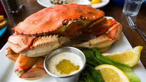 dungeness crab vs blue crab syssilope