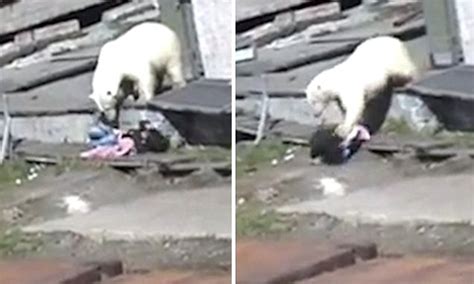 Woman Attacked By Polar Bear As Locals Try To Scare It Away In Video Daily Mail Online