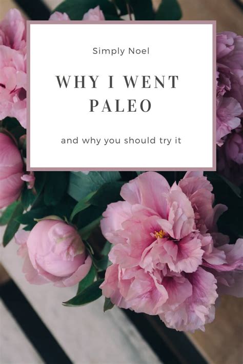 The Paleo Diet Why I Went Paleo And What It Means To Me Simply Noel