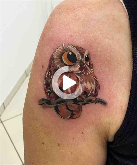 21 Superb Owl Tattoos Owl Tattoo Cute Owl Tattoo Tattoos Petit
