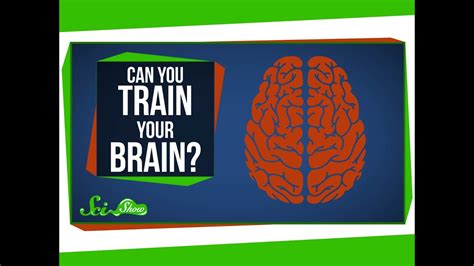 Can You Really Train Your Brain Youtube