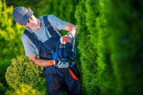 5 Surprising Reasons To Hire Landscape Contractors For Your Home