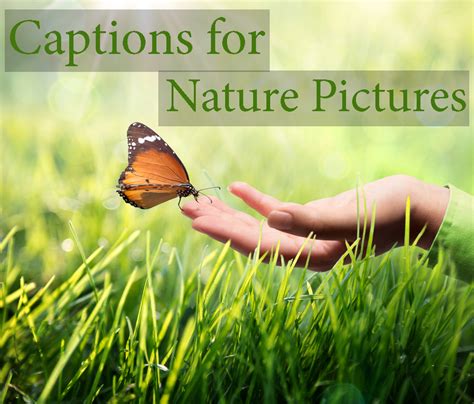 75 Nature Captions For Instagram Traveler Nature Lovers Photos