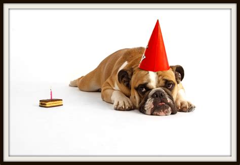 Check spelling or type a new query. Jessica LaGrone Fear of Blogging #2 - Throwing a party and ...