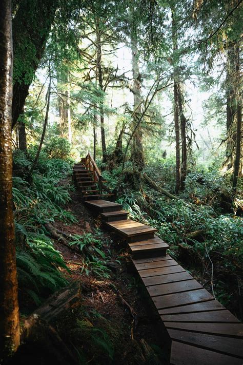 11 Incredible Things To Do In Pacific Rim National Park All The Best